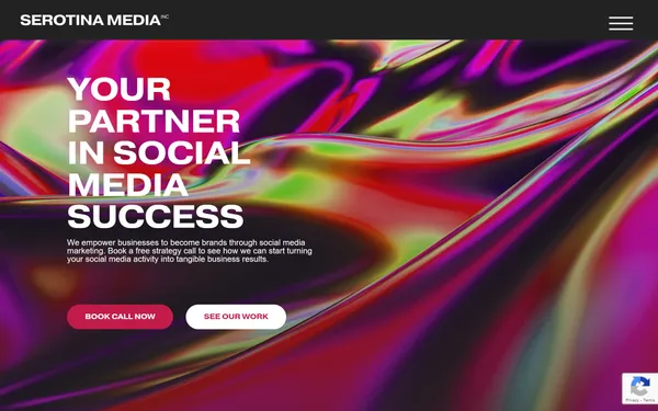 img of B2B Digital Marketing Agency - Serotina Media Inc.